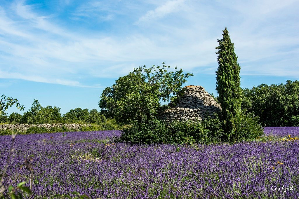 Luberon Tour景点图片