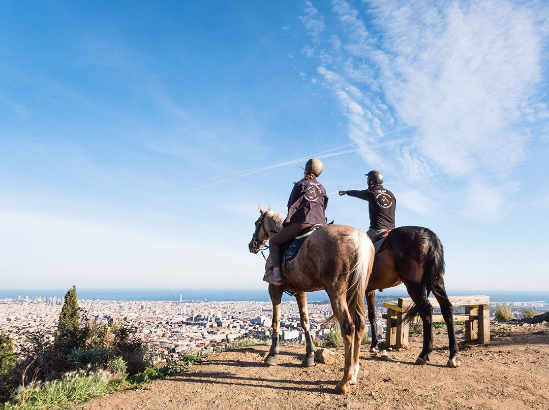 Barcelona Horse Tours景点图片