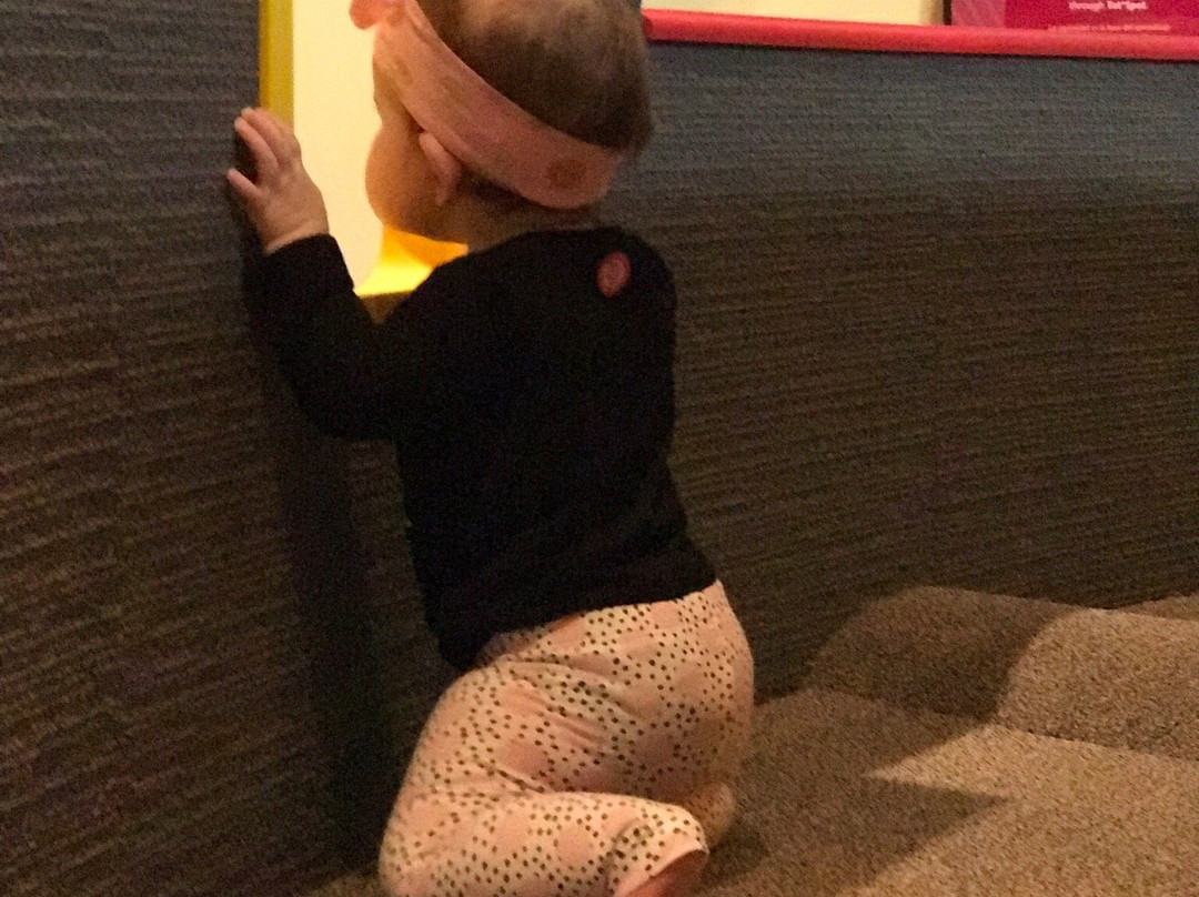 Fort Bend Children's Discovery Center-舒格兰必去景点