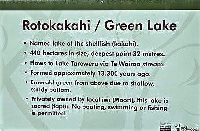 Lake Rotokakahi景点图片