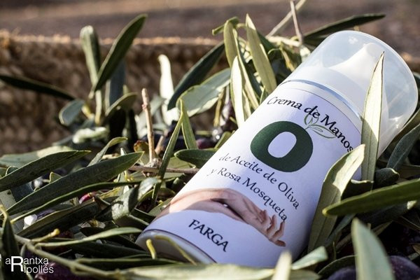 Almazara Sant Climent-Sant Mateu必去景点