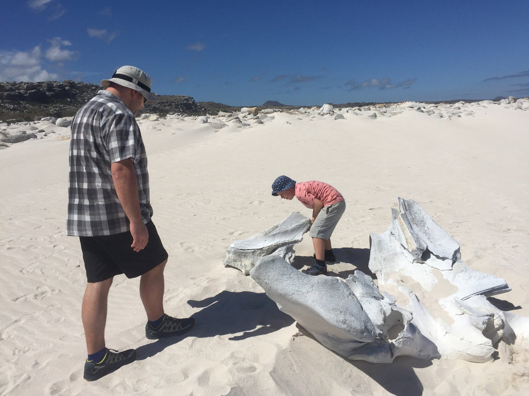 Thomas T Tucker Shipwreck Trail-Cape Peninsula National Park必去景点