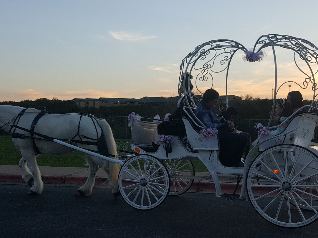 Fantasia Carriage-Lago Vista必去景点