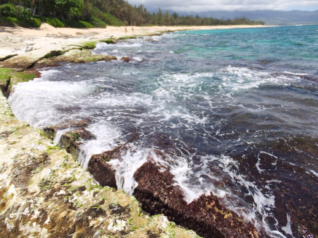Lost Survivors Beach Camp-哈雷瓦必去景点