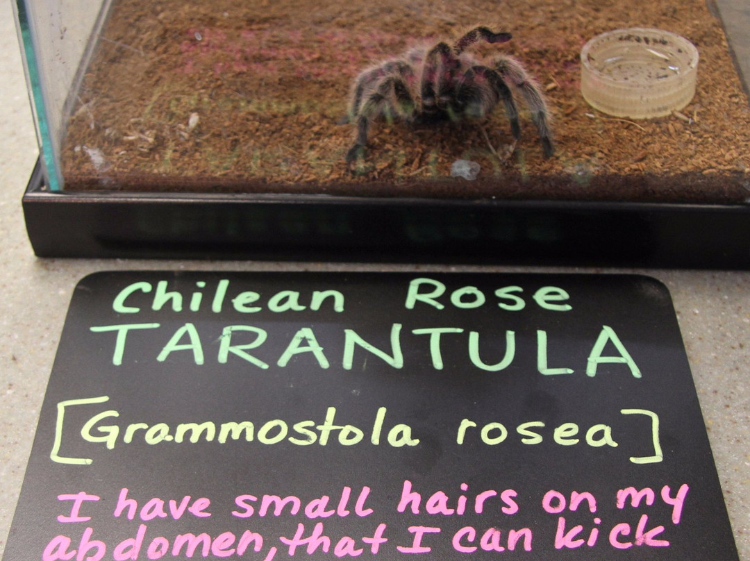 Riverside Metropolitan Museum-里弗赛德必去景点