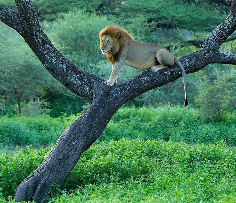Palmridge Tours and Travels-奇安波必去景点