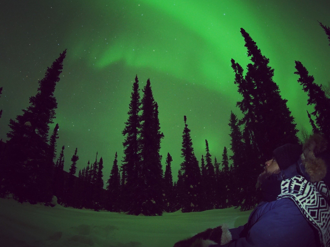 Alaska Borealis Tours & Taxi-费尔班克斯必去景点