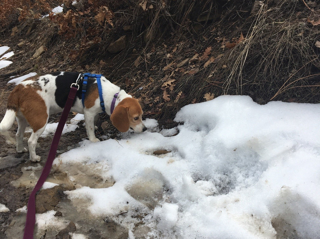 Grindstone Lake Trail-鲁伊多索必去景点