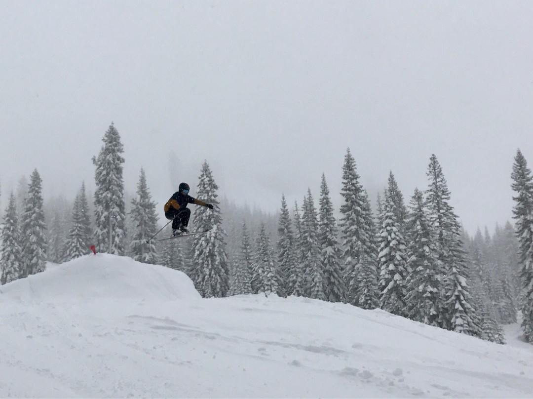 Mount Shasta Board & Ski Park景点图片