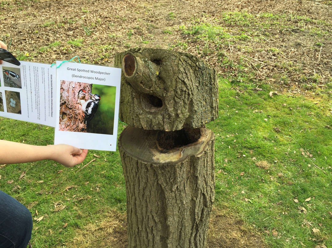 Ellerker House Gardens-Everingham必去景点