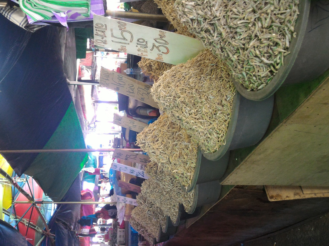 Pasar Tamu & Pasar Utama-宾图卢必去景点