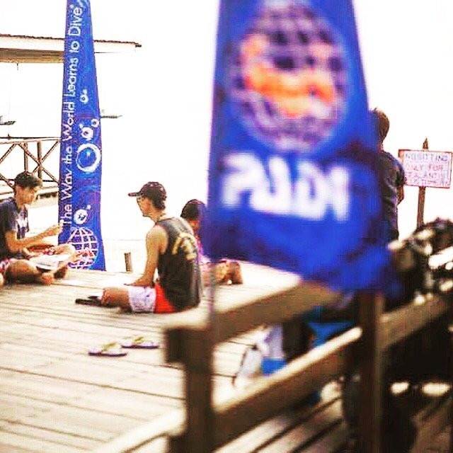 Sealantis Dive Centre-刁曼岛必去景点