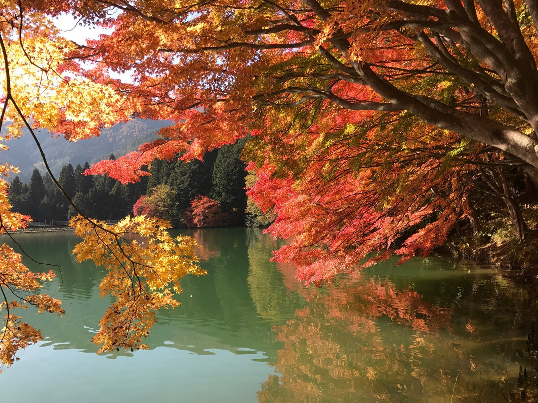 Lake Kitainagako-南阿尔卑斯市必去景点