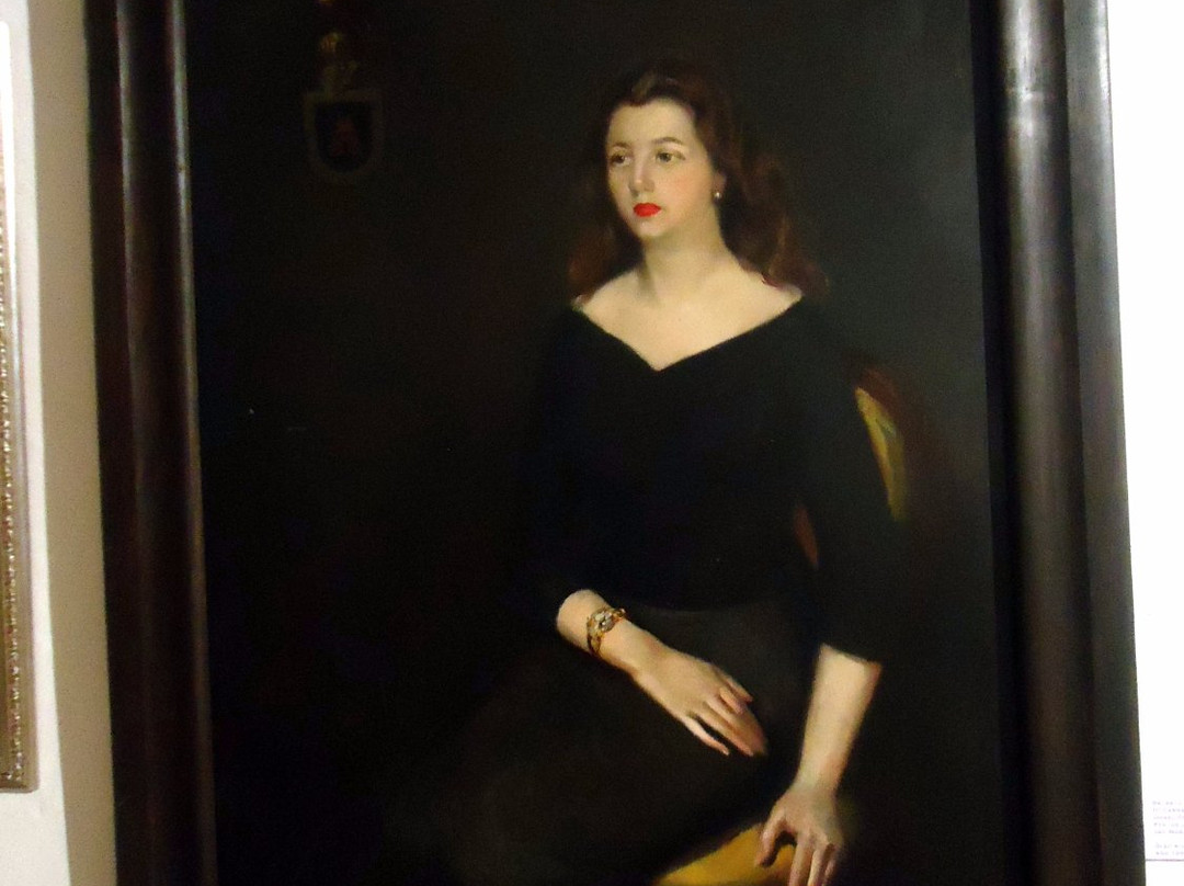 Museo Gonzalvo景点图片