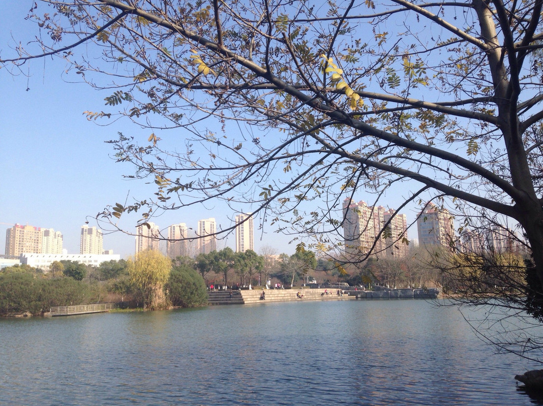 青枫公园-常州市必去景点