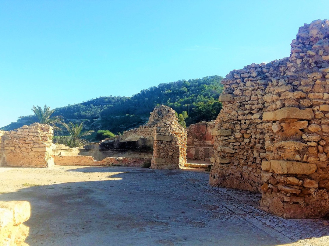 苏塞省旅游攻略图片