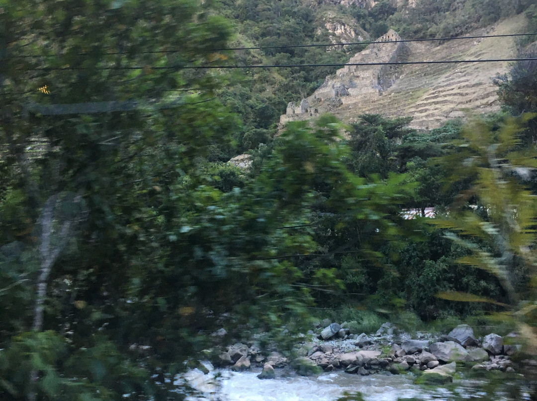 PeruRail - Expedition景点图片