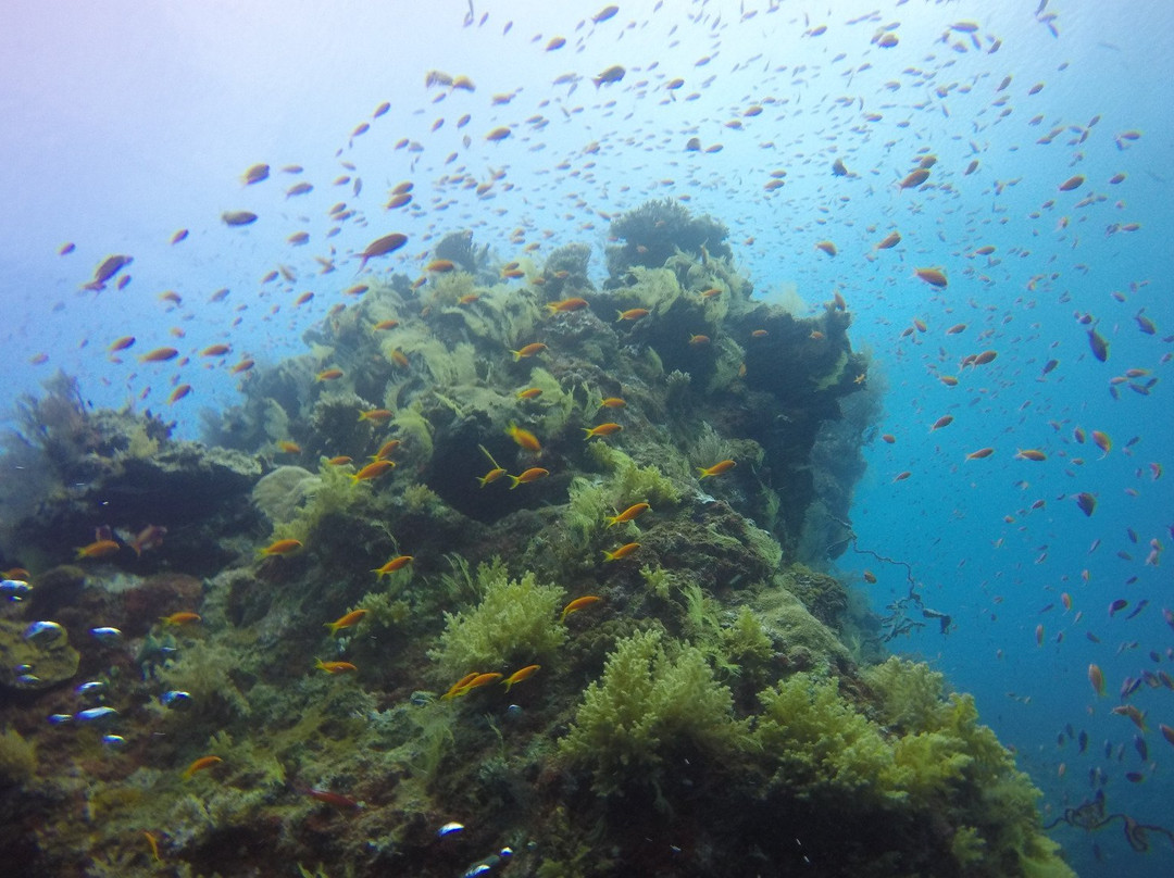 Nyamba Club Plongée-Dzaoudzi必去景点