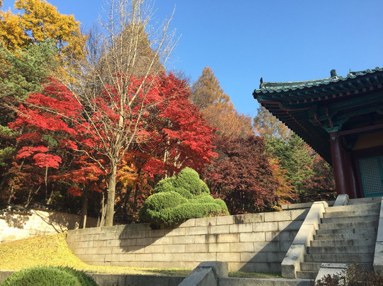 Nakseongdae Park-首尔必去景点