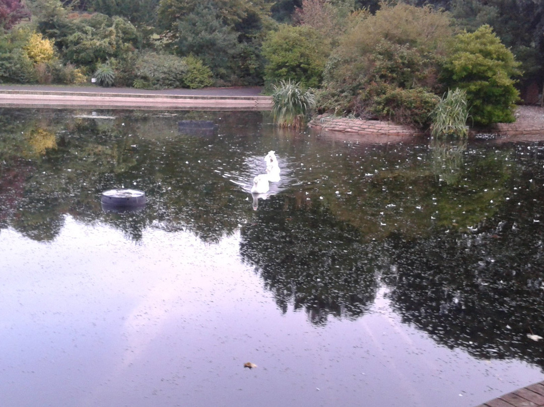 Queens Park-布莱顿必去景点