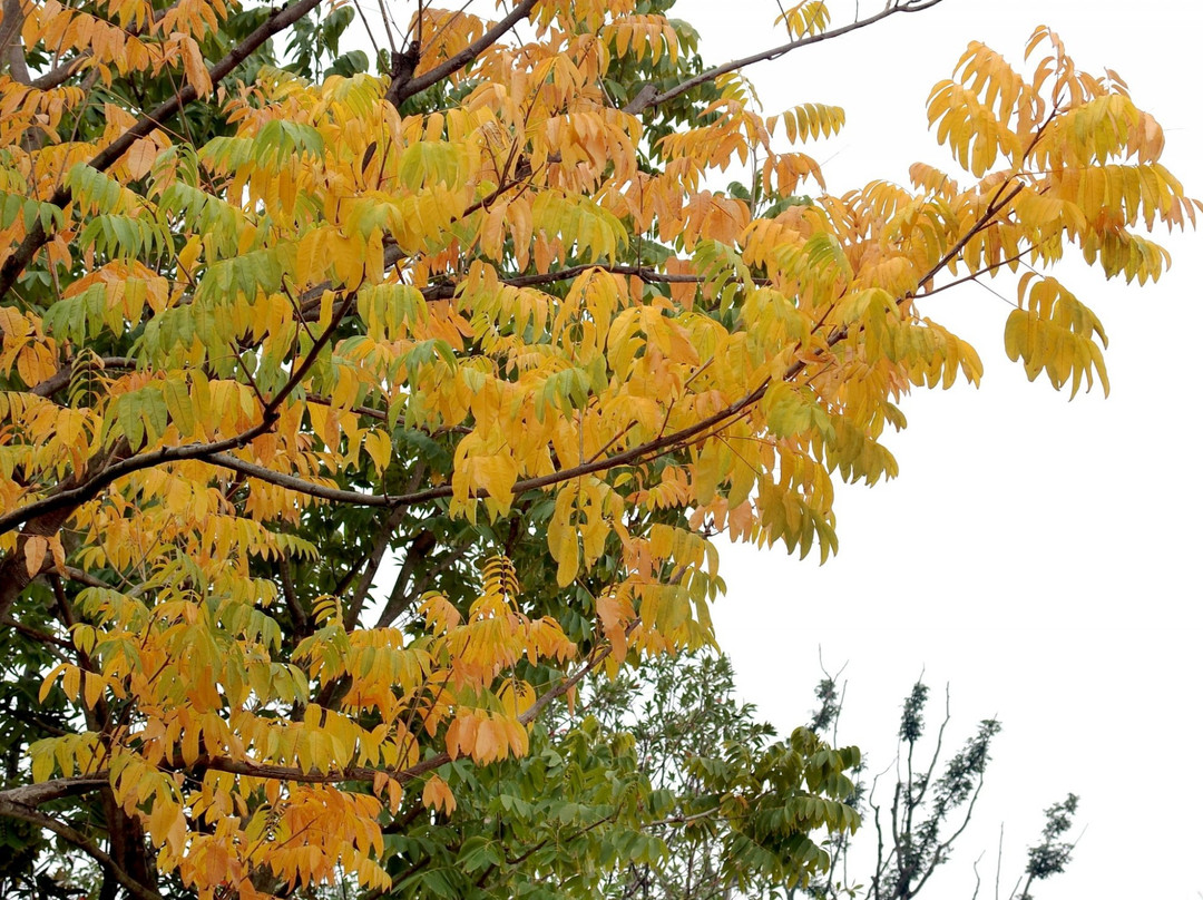 武汉园博园-武汉市必去景点