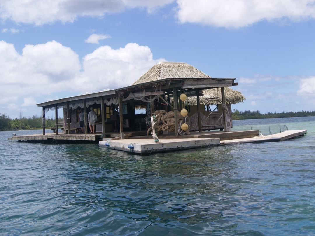 Huahine Pearl Farm景点图片