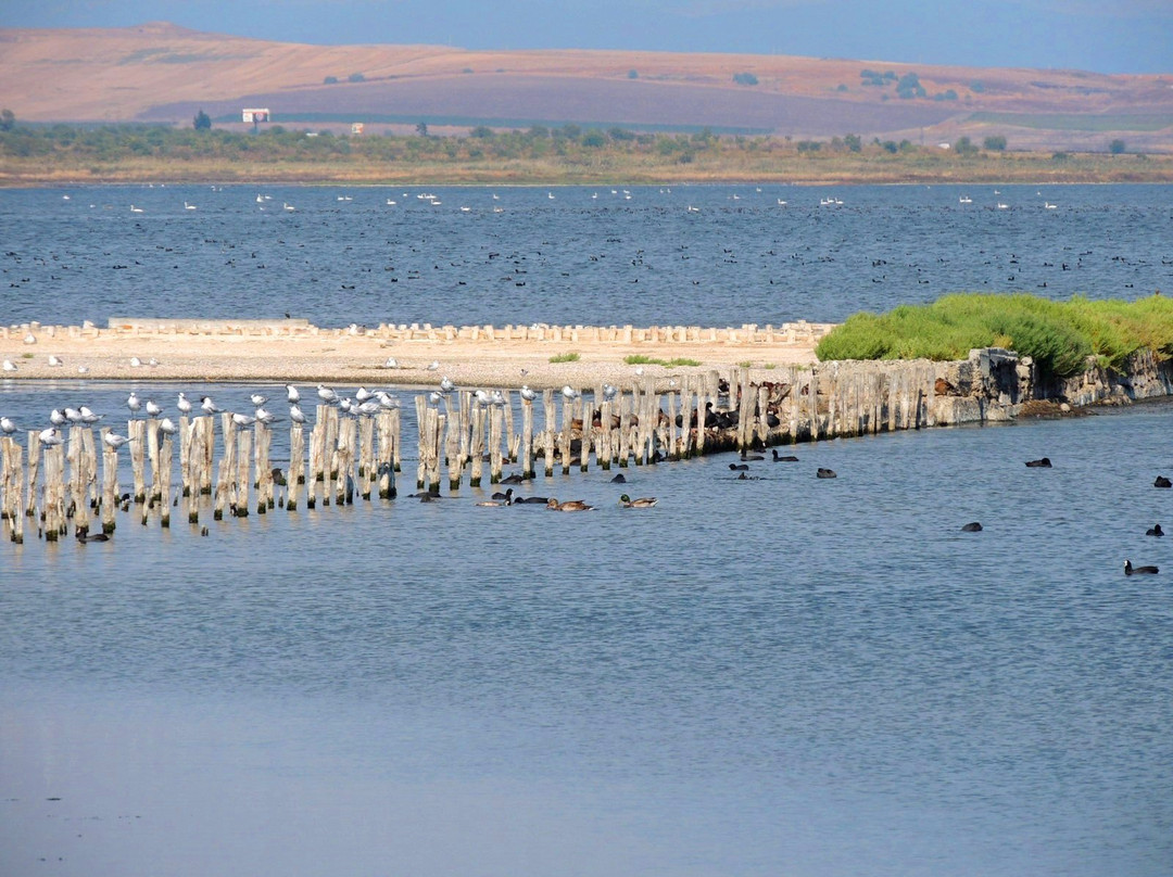 Pomorie Lake景点图片