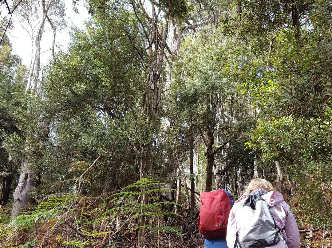 King Island Rambles-King Island必去景点