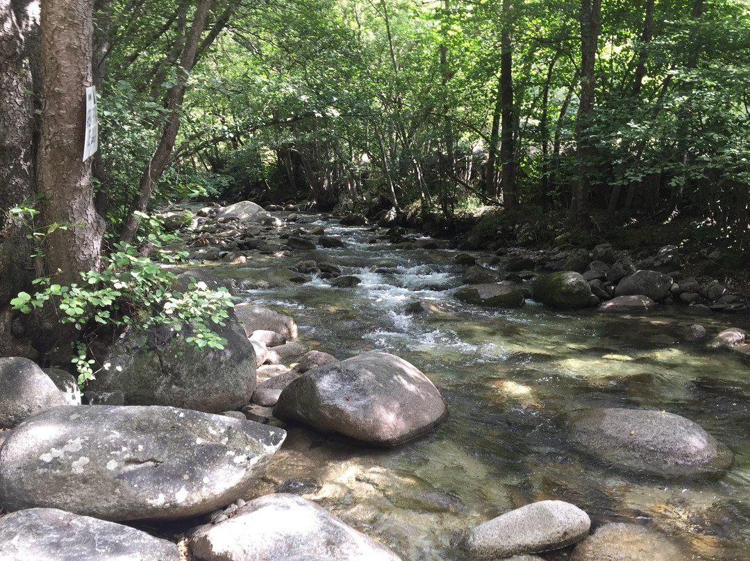 Arseguel旅游攻略图片