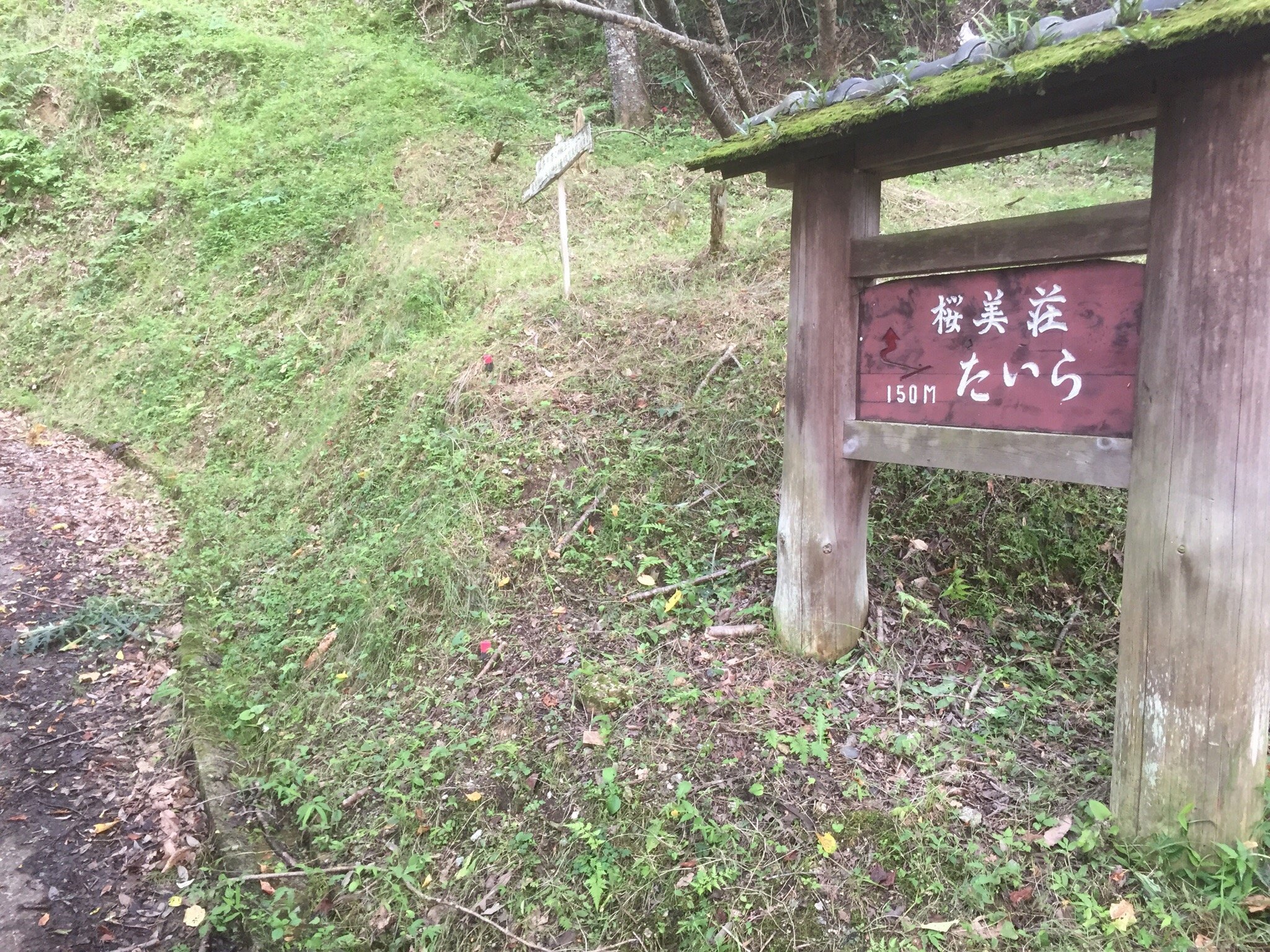 Obiso Taira-官方