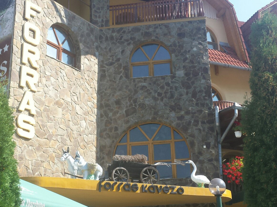 Korondi Forras Panzio主图