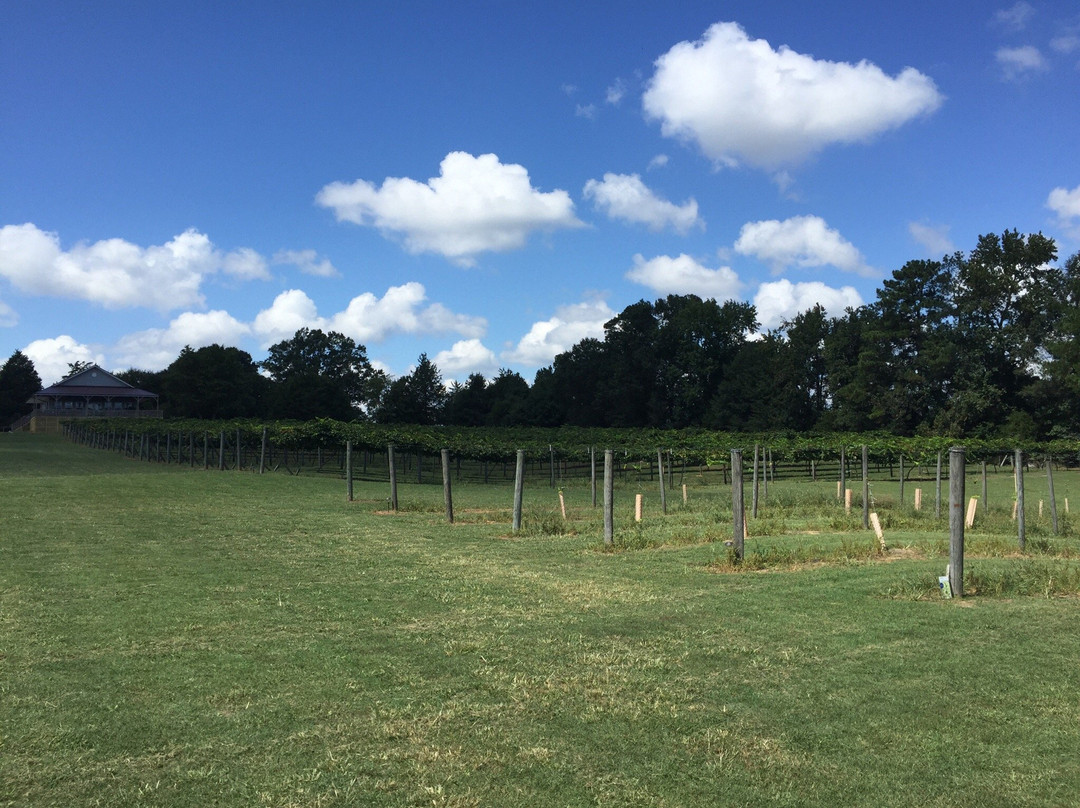 Enoree River Winery景点图片