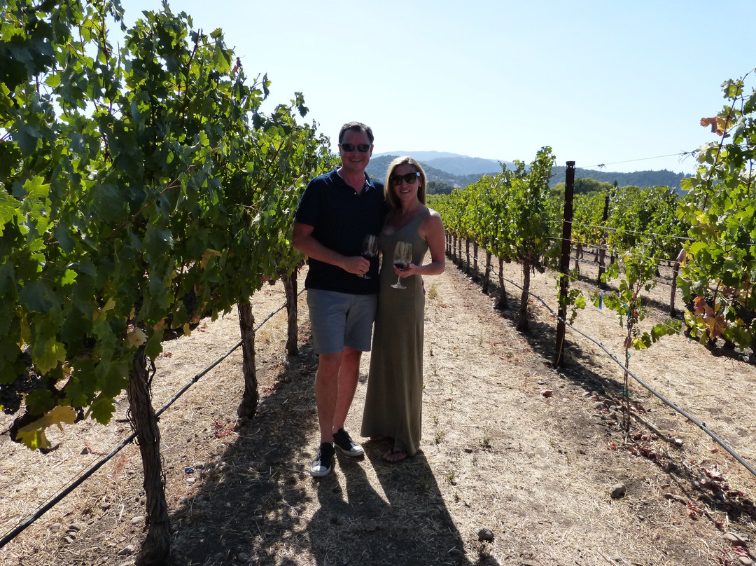 Flex Wine Tours-纳帕必去景点