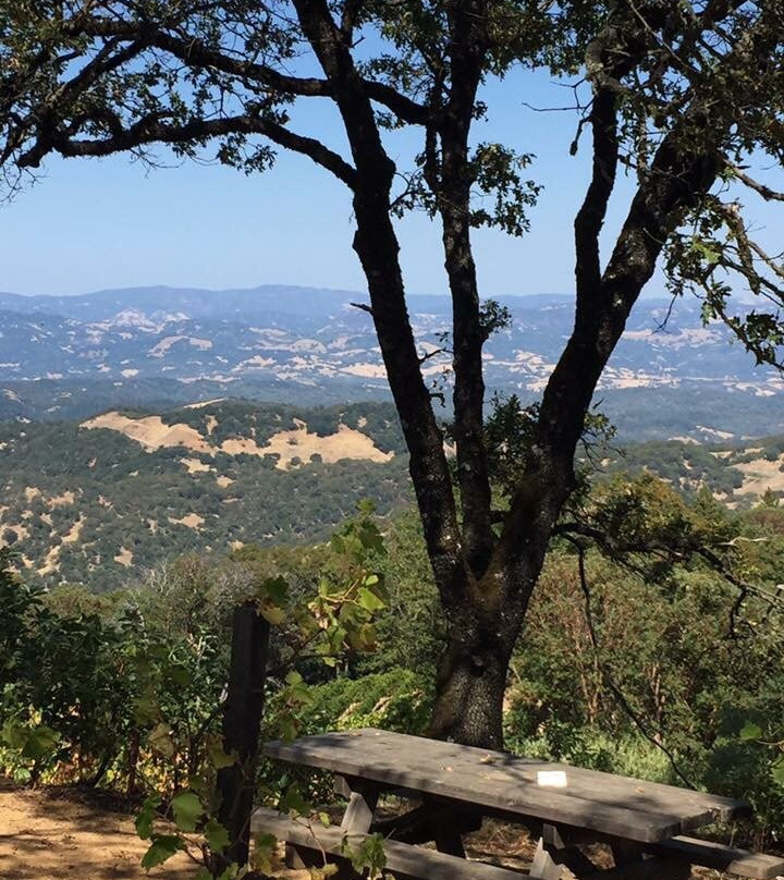 Gustafson Family Vineyard景点图片