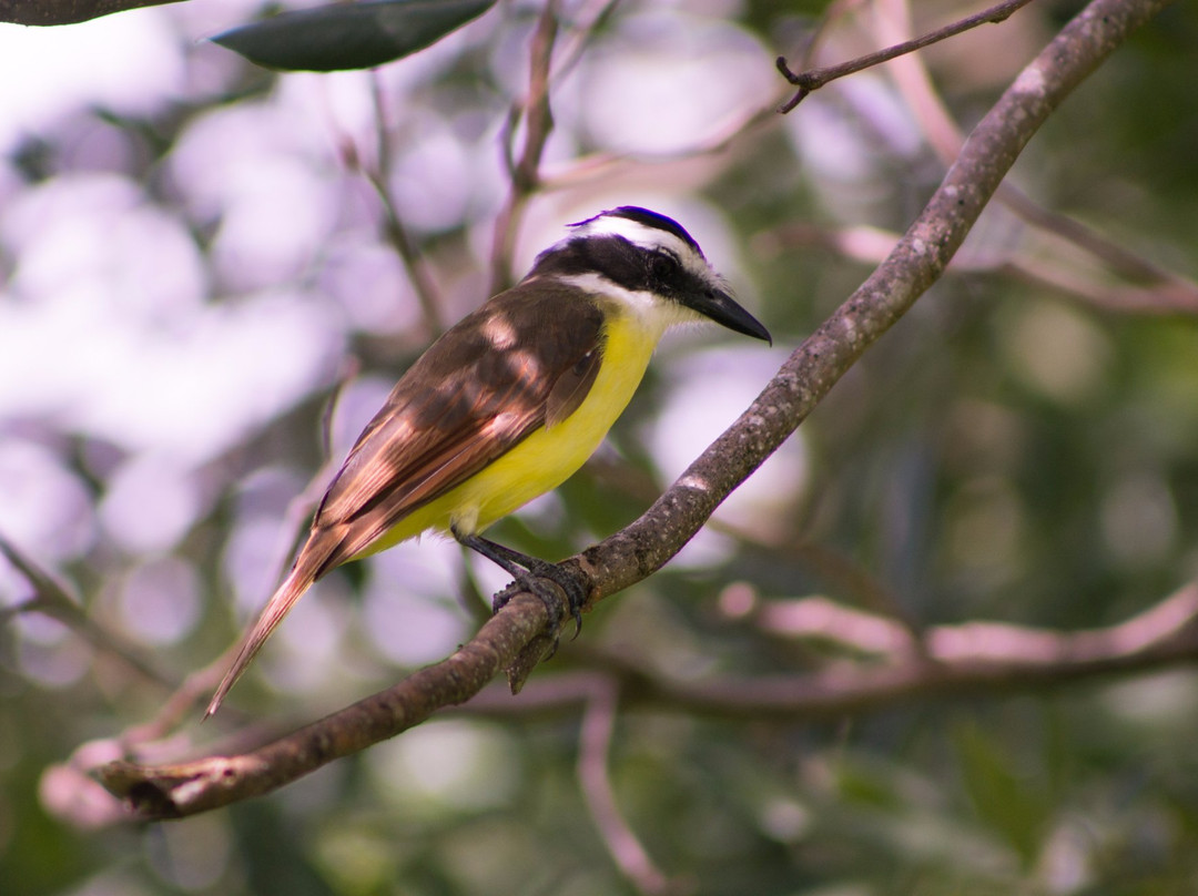 妈妈之家住宿加早餐酒店主图