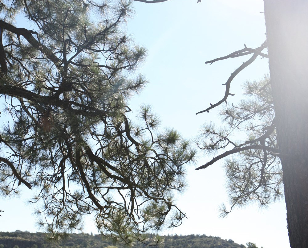 Historic Hat Ranch-威廉姆斯必去景点