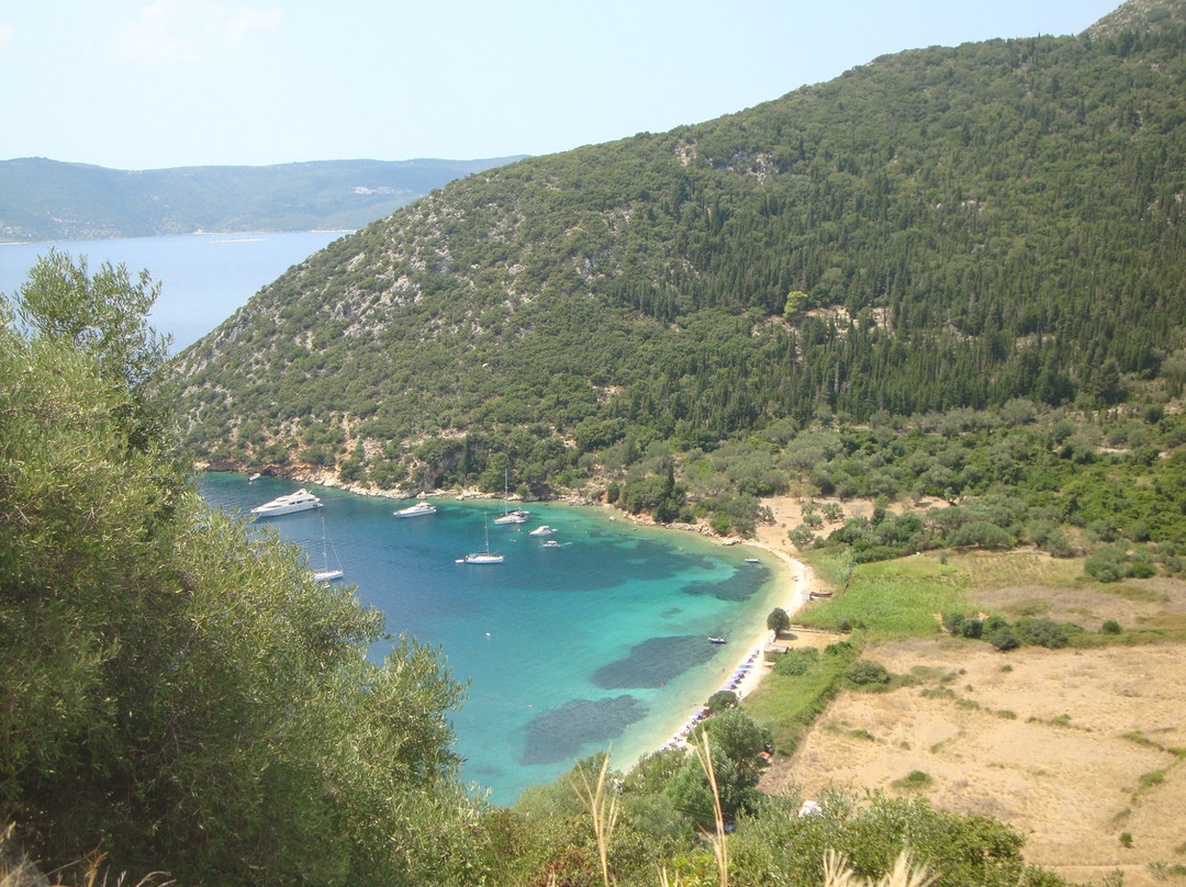 null-Stavros