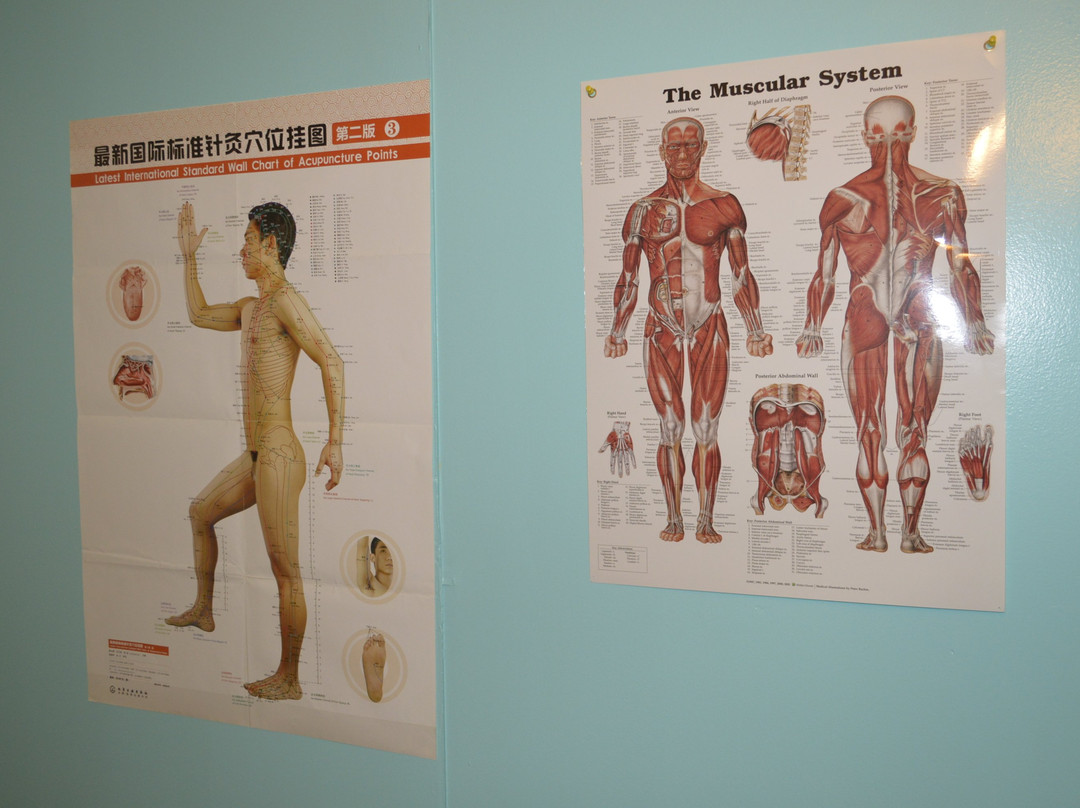 Massage Mend Me景点图片