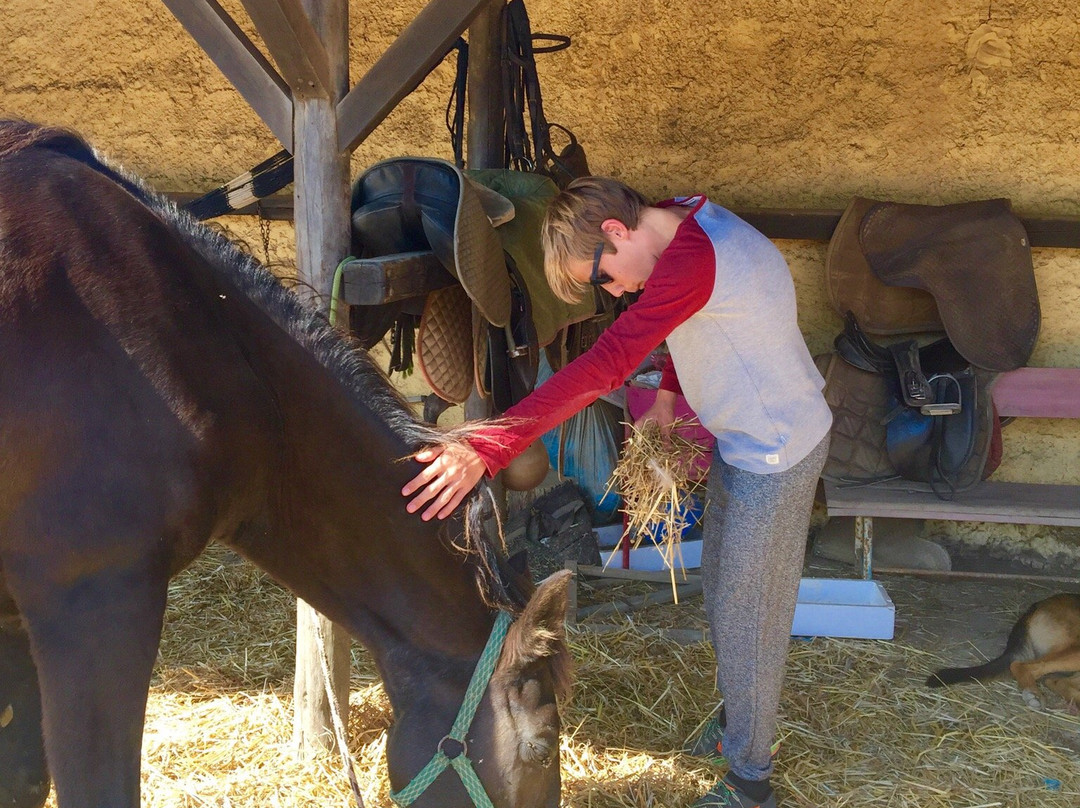 Equivicentinos-Vila do Bispo必去景点