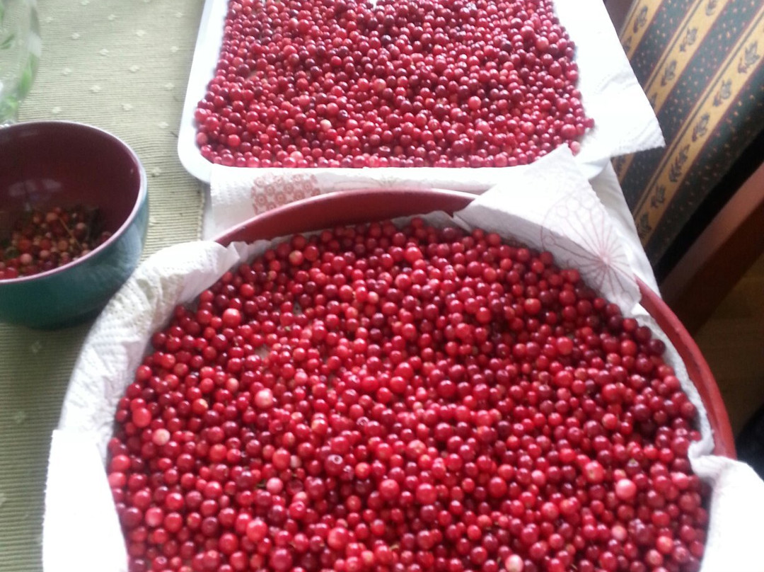 Mosseporten Senter-Moss必去景点