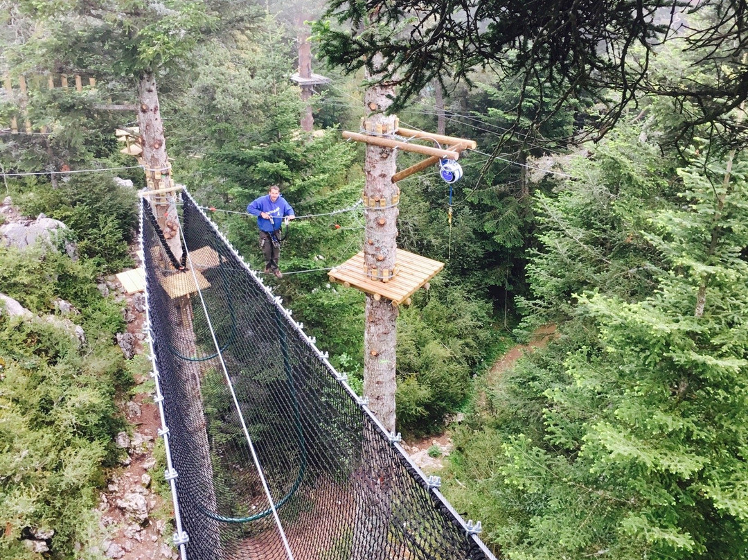 Arbre et Aventure La Moulière景点图片