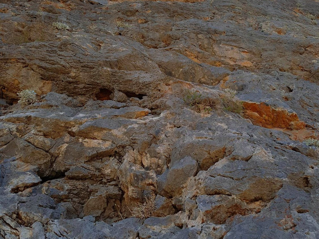 Cink-Kalymnos必去景点