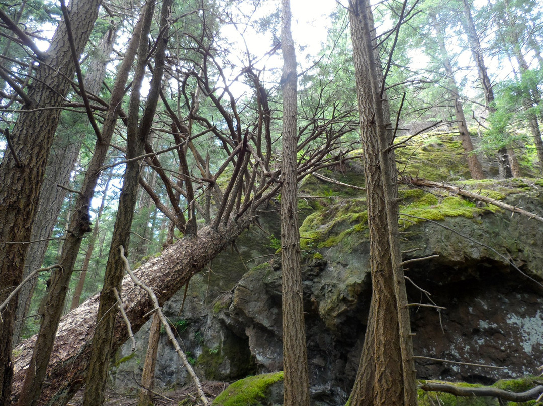 South Texada Island Provincial Park景点图片
