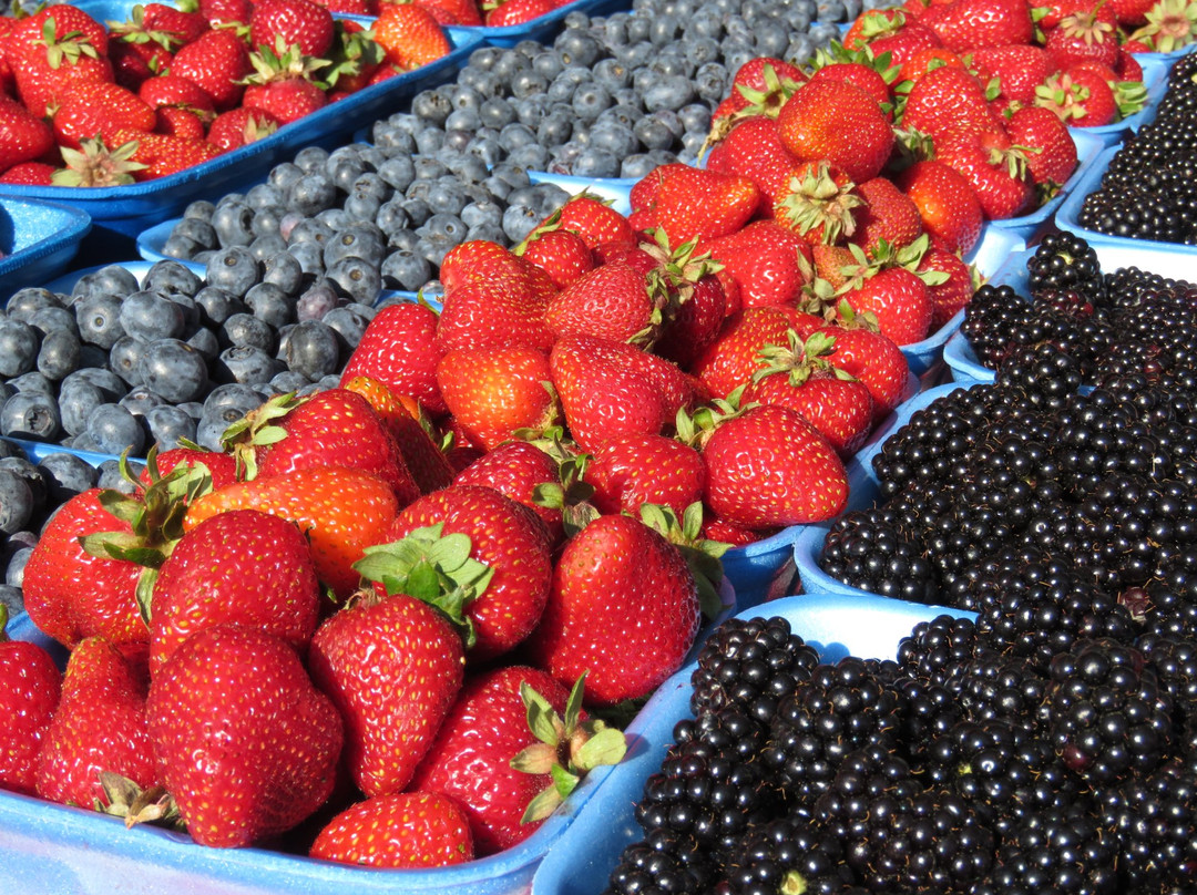 Burnaby Artisan Farmers’ Market-本那比必去景点