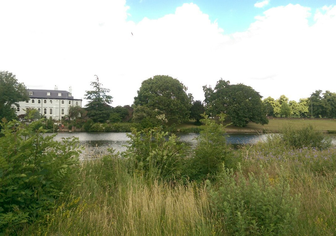 Hurst Park Open Space景点图片