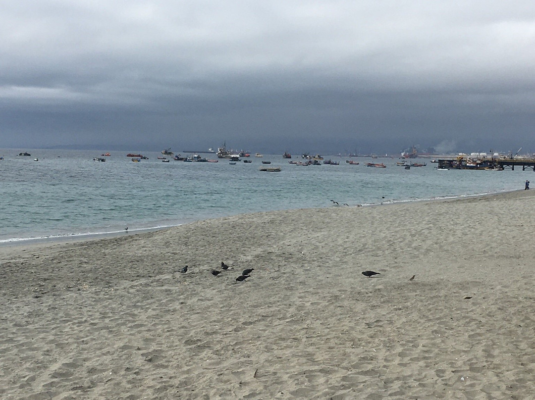 Hotel Mejillones主图