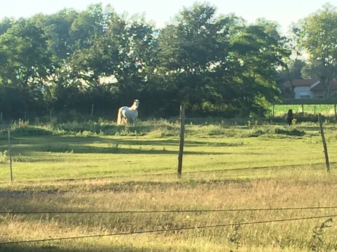 Château Lagaillarde主图