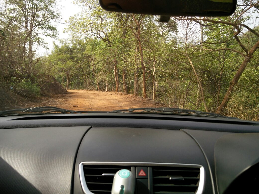 Gandhamardan Hill Trek景点图片
