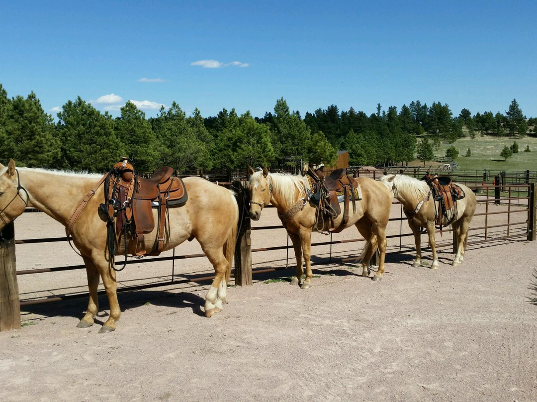 Sage Meadow Ranch-温泉城必去景点