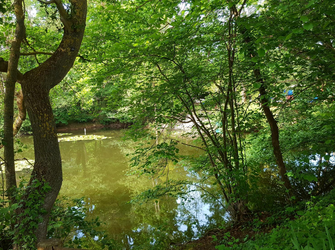 Parc de Fouchy景点图片